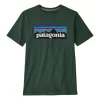 Kids' Patagonia Regen P6 Logo T-Shirt