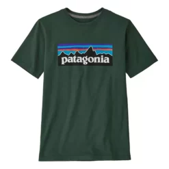 Kids' Patagonia Regen P6 Logo T-Shirt