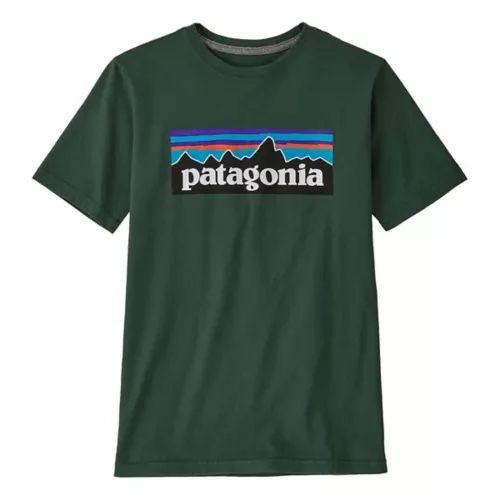 Kids' Patagonia Regen P6 Logo T-Shirt 3 Kids' Patagonia Regen P6 Logo T-Shirt